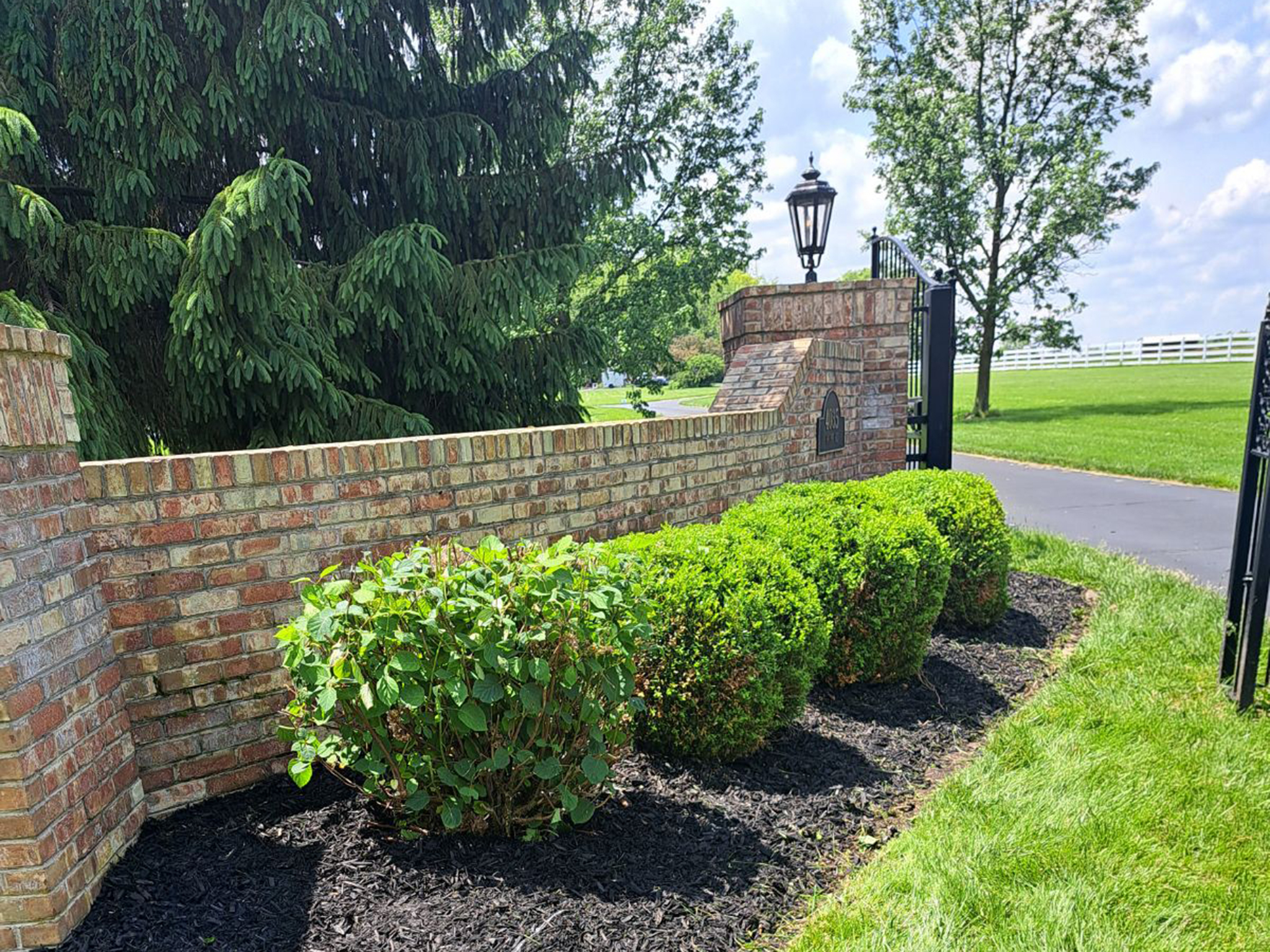 Jams Property Preservation LLC - Landscaping - After (1)