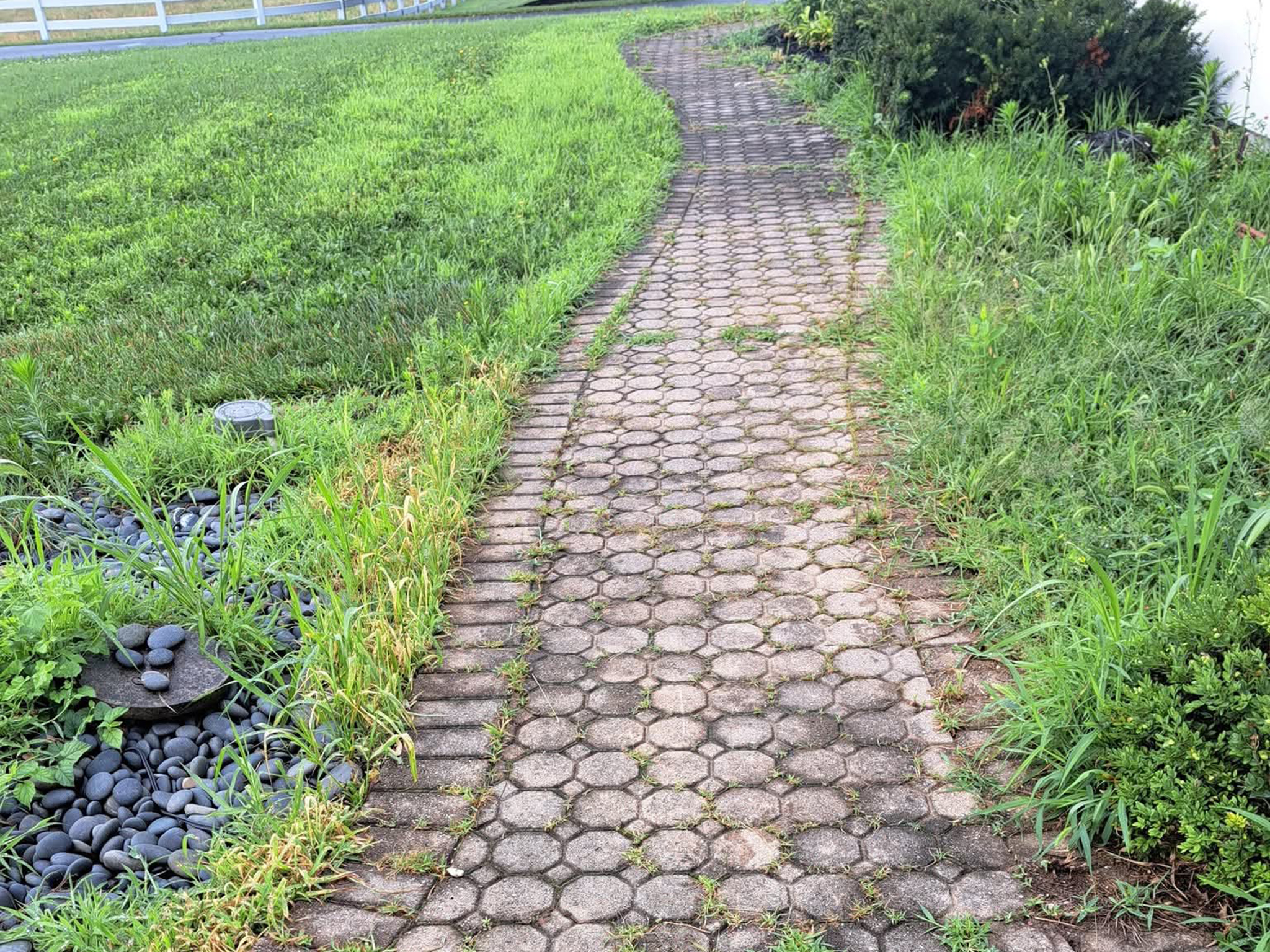 Jams Property Preservation LLC - Pressure Washing - Before (1)