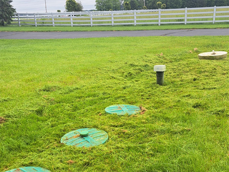 Landscaping Project 3 — Before view