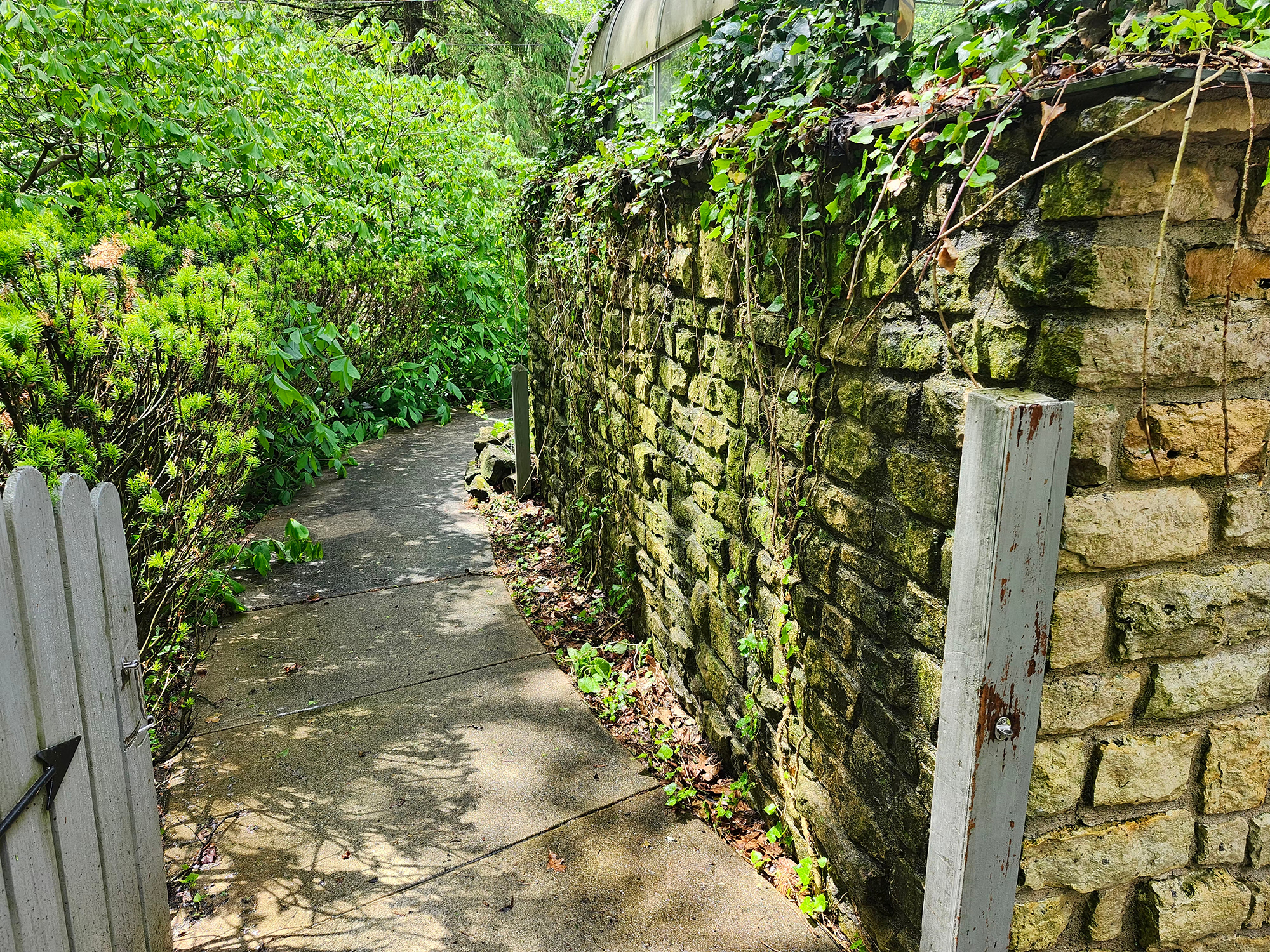 Jams Property Preservation LLC - Pressure Washing - Before