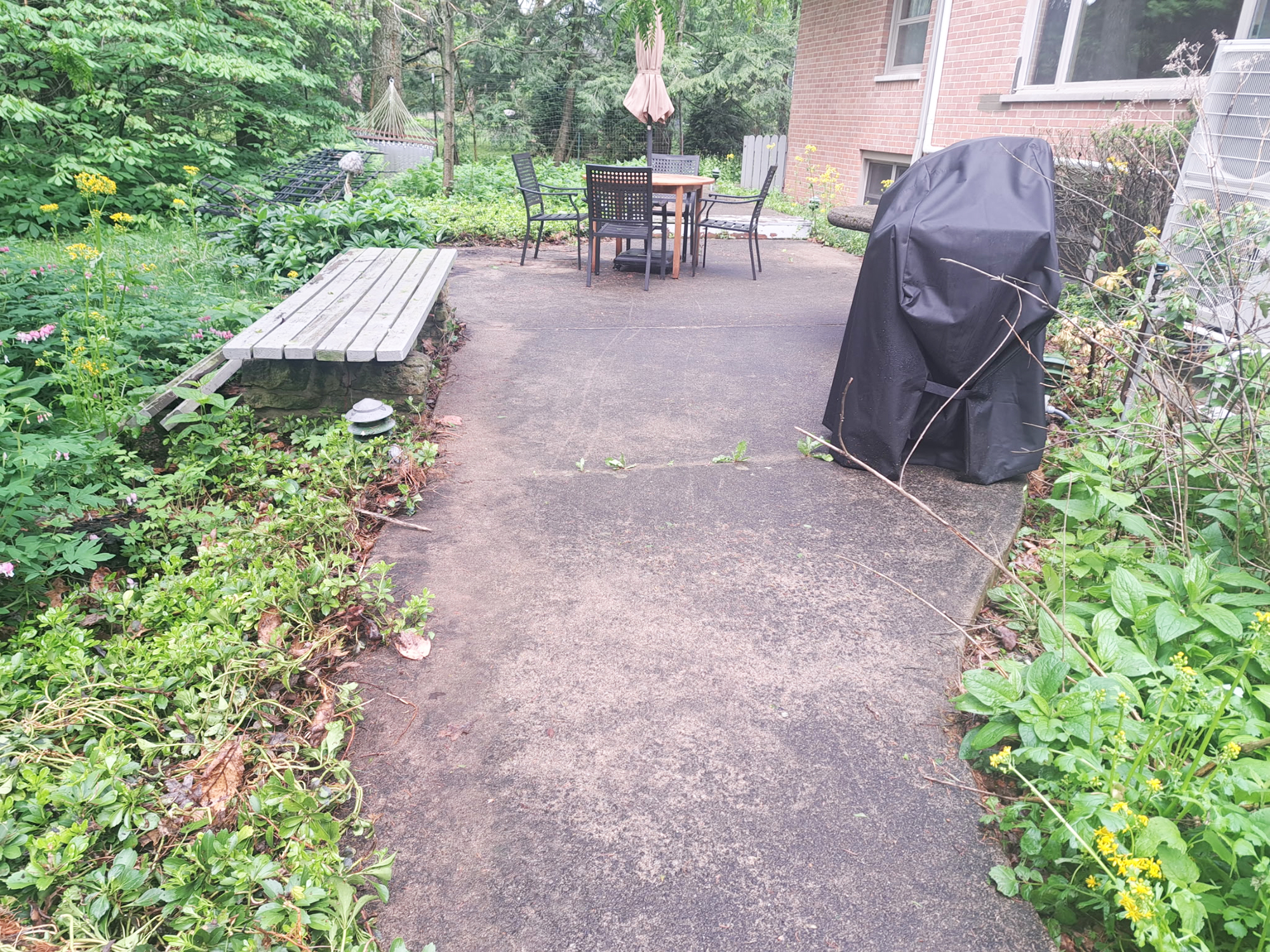 Jams Property Preservation LLC - Pressure Washing - Before