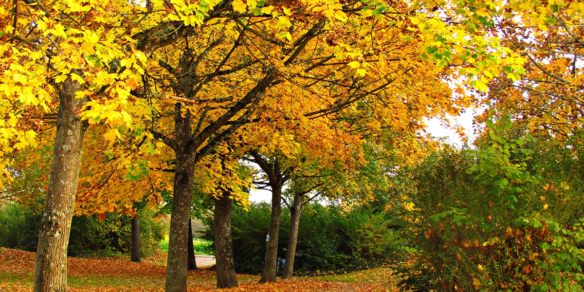 Seasonal & Preventative Maintenance Service - Dayton, Ohio